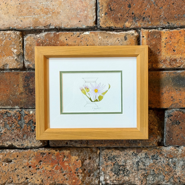 Lot 14 - Pink Daisy - 25.09.26 - Watercolour