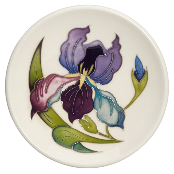Bearded Iris - Vase
