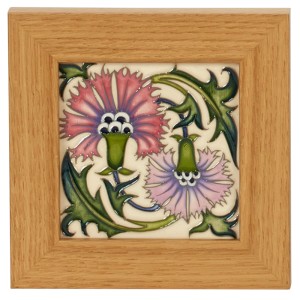 Blue Mountains Waratah Plaque