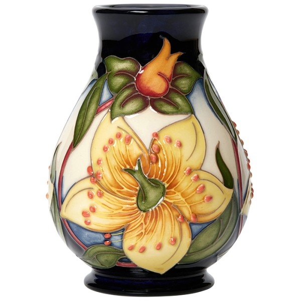 Hypericum 'Golden Jewell' - Vase