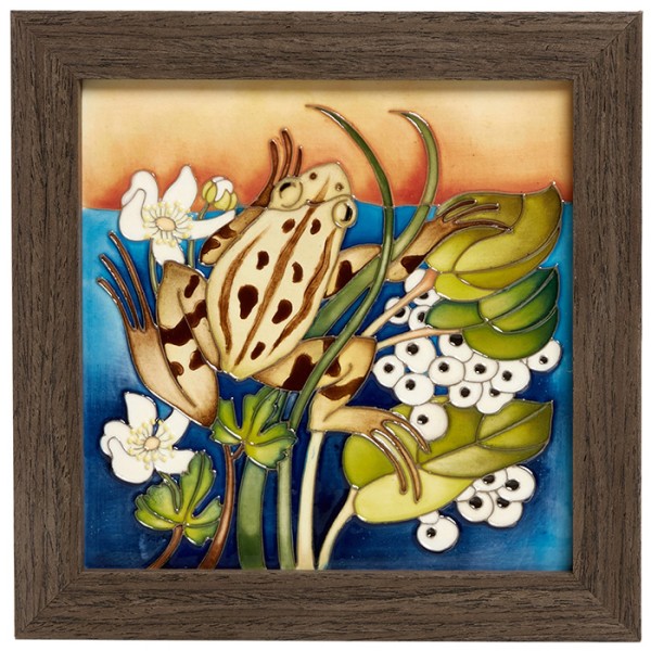 The Wildlife Pond - Plaque