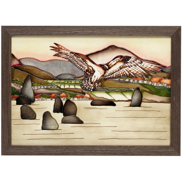 Castlerigg Guardian - Plaque