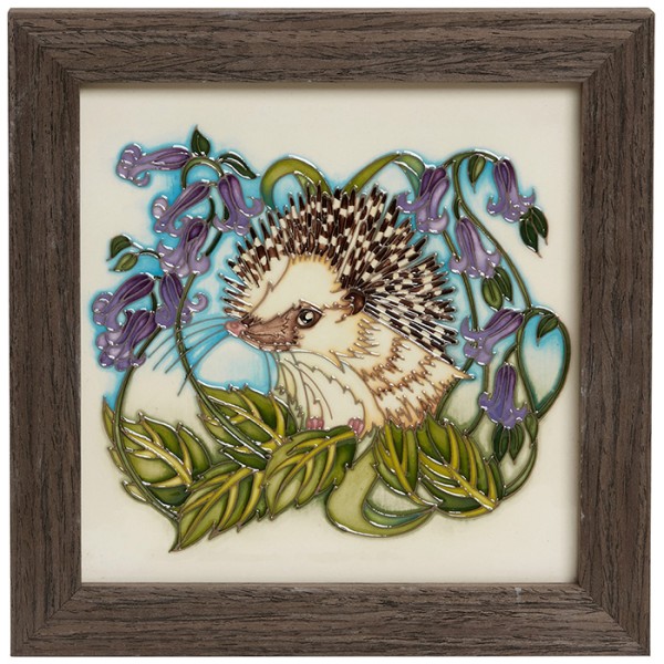 Timid Curiosity - Plaque