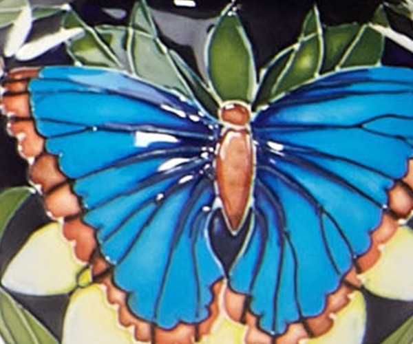 Butterflies and Moths