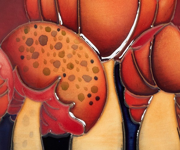 Mushrooms & Toadstools