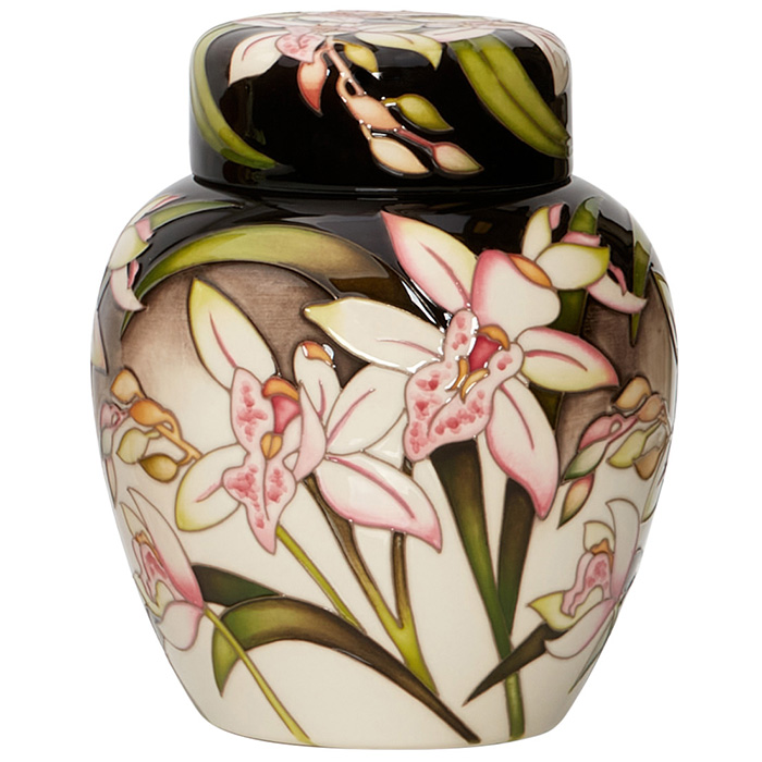 Rameses - Ginger Jar + Watercolour